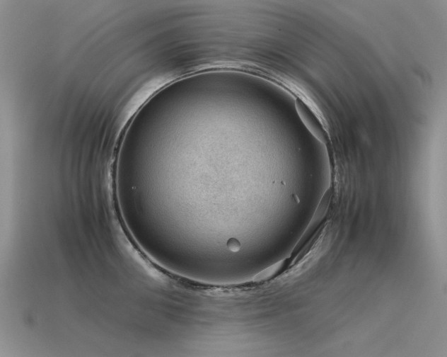 X0000113590906200909181329