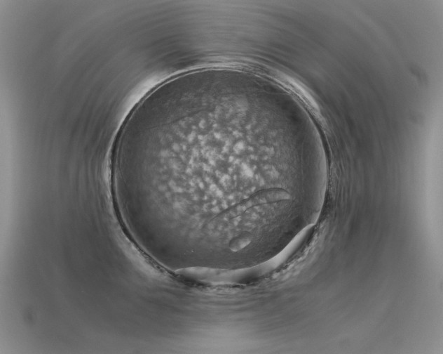 X0000113590907200909181329