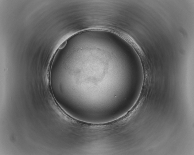 X0000113590908200909181329