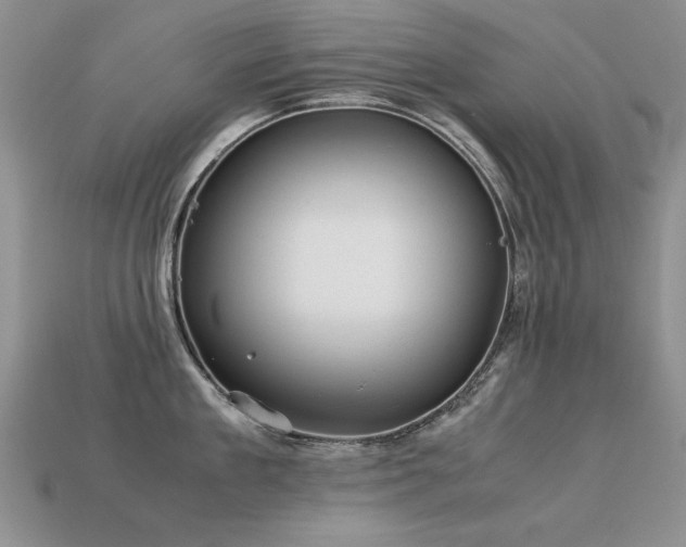 X0000113590909200909181329