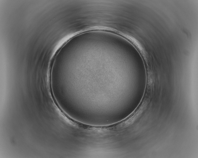 X0000113590910200909181329