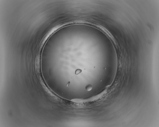 X0000113590911200909181329