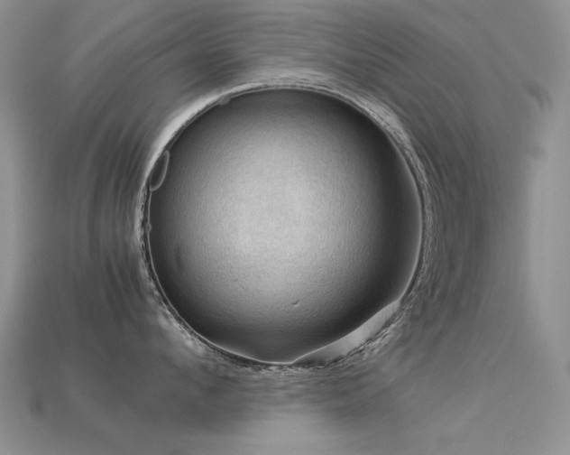 X0000113590912200909181329