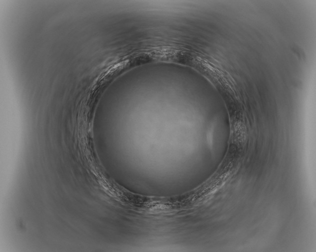 X0000113590913200909181328