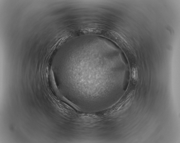 X0000113590915200909181328