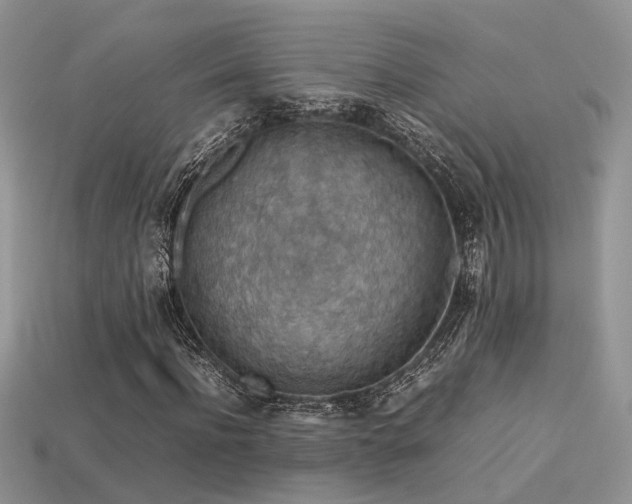 X0000113590916200909181328