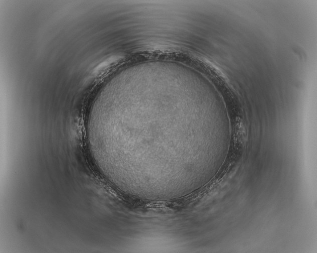 X0000113590918200909181328