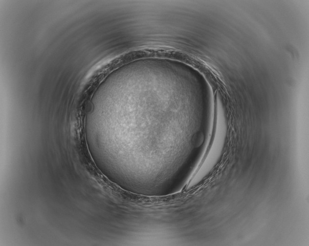 X0000113590920200909181328