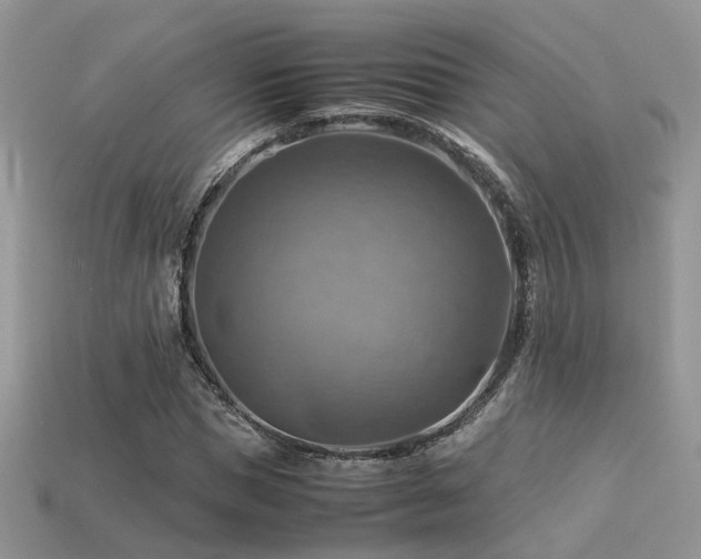 X0000113590921200909181328