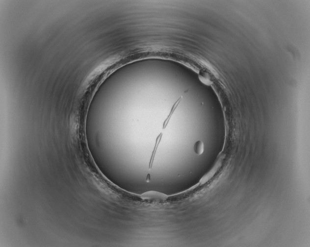 X0000113590922200909181328