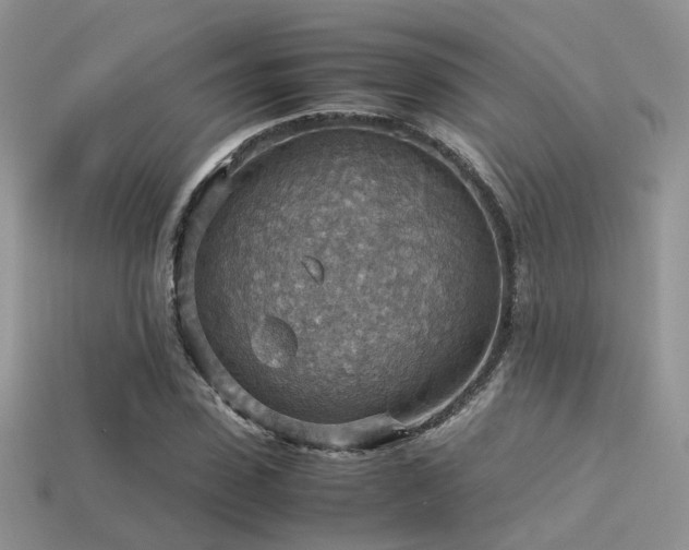 X0000113590923200909181328