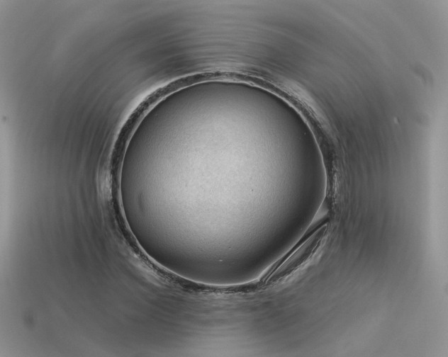 X0000113590924200909181328