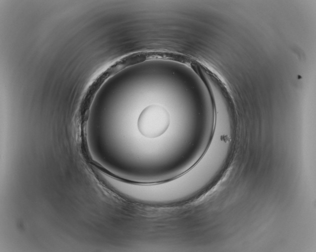 X0000113590925200909181329