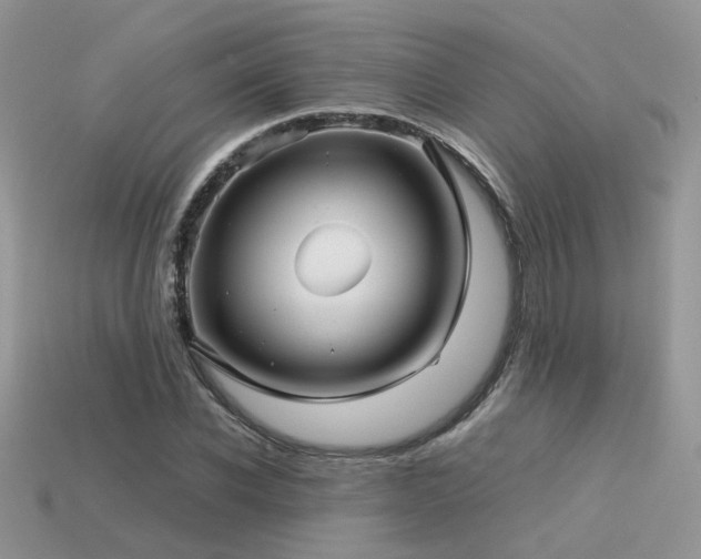 X0000113590926200909181329