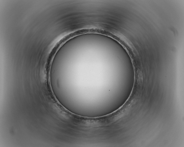 X0000113590927200909181329