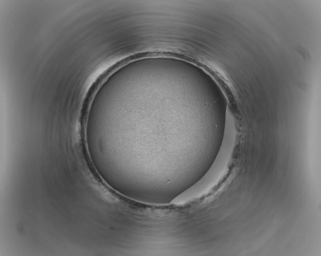 X0000113590928200909181329