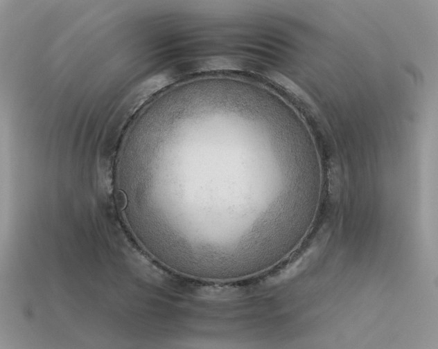 X0000113590929200909181329