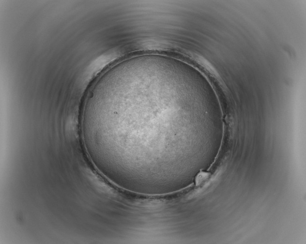 X0000113590930200909181329