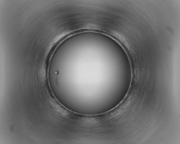 X0000113590931200909181329