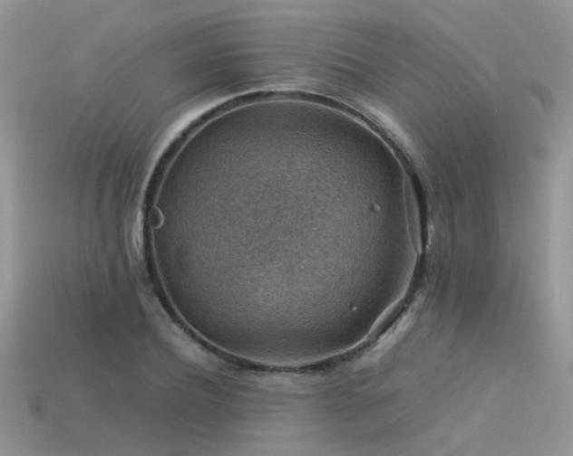 X0000113590932200909181329