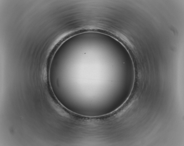 X0000113590934200909181329