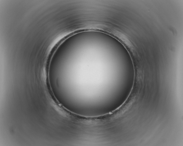 X0000113590936200909181329