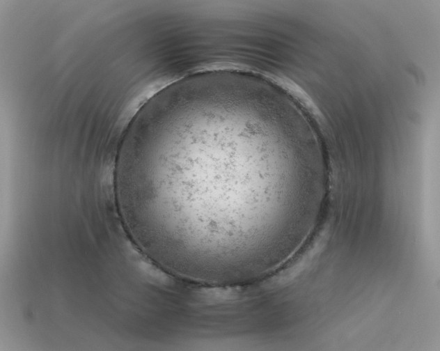 X0000113590937200909181329