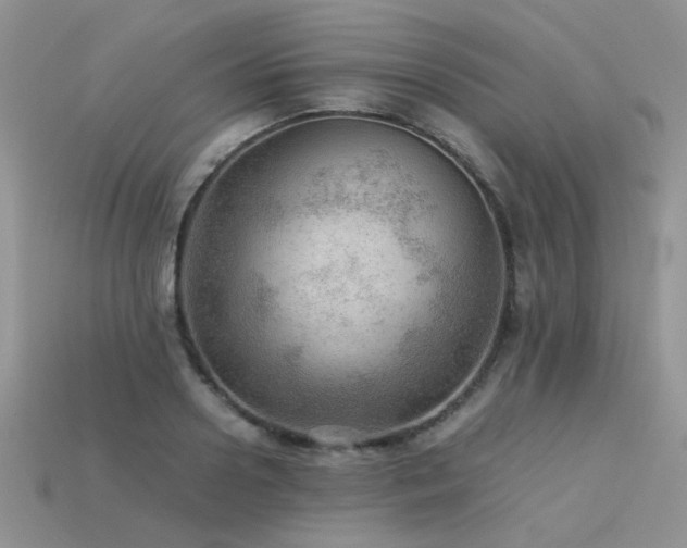 X0000113590938200909181329