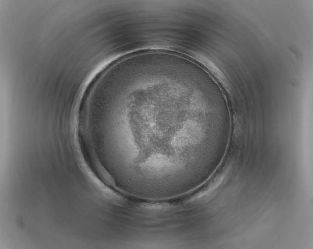 X0000113590939200909181329