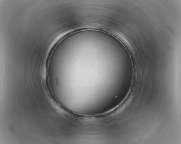 X0000113590940200909181329