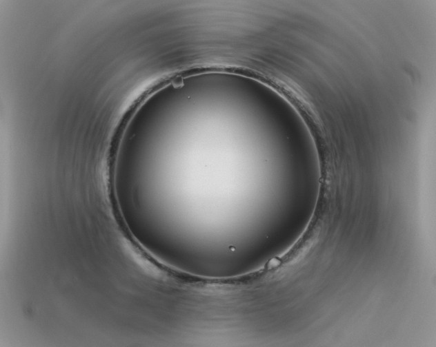 X0000113590942200909181329