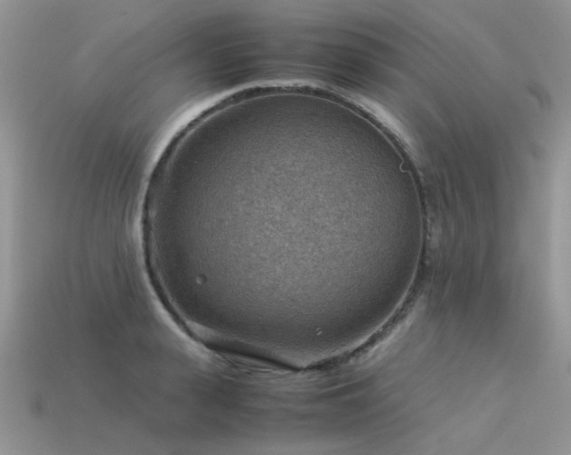 X0000113590943200909181329