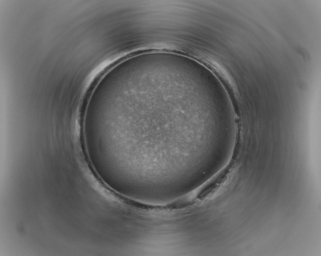 X0000113590944200909181329