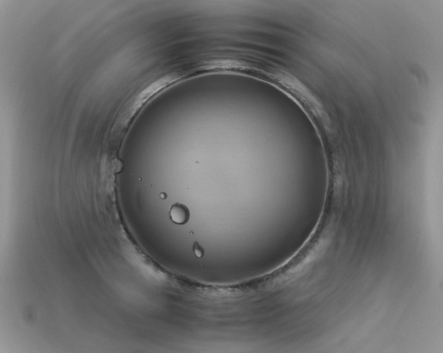 X0000113590945200909181329