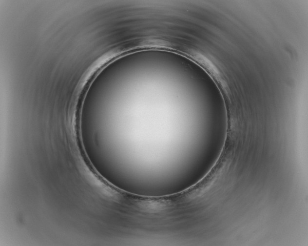 X0000113590947200909181329