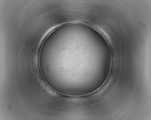 X0000113590948200909181329