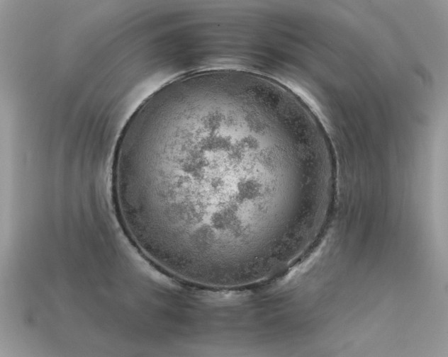 X0000113590949200909181329