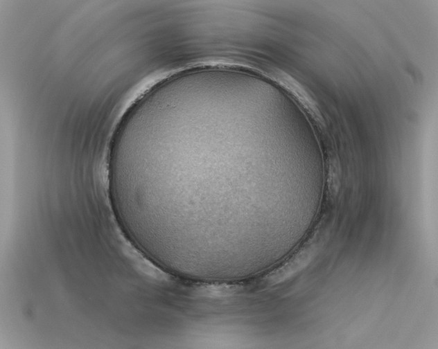 X0000113590950200909181329