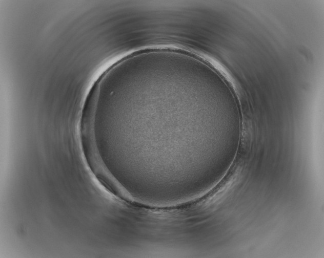 X0000113590951200909181329