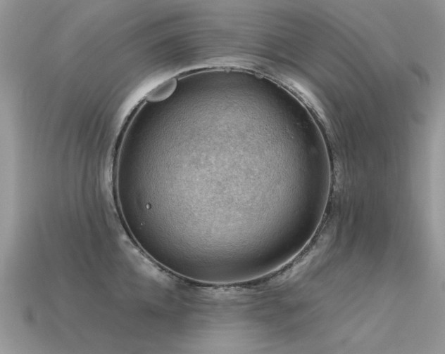 X0000113590952200909181329