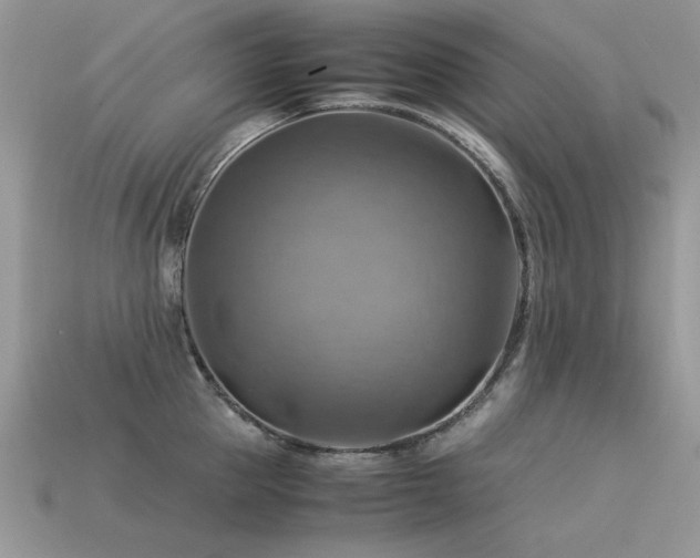 X0000113590953200909181329