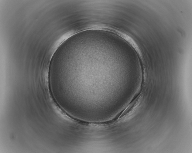 X0000113590954200909181329