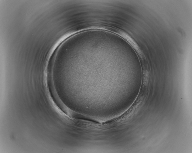 X0000113590955200909181329