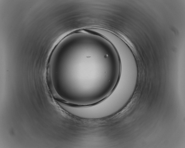 X0000113590956200909181329