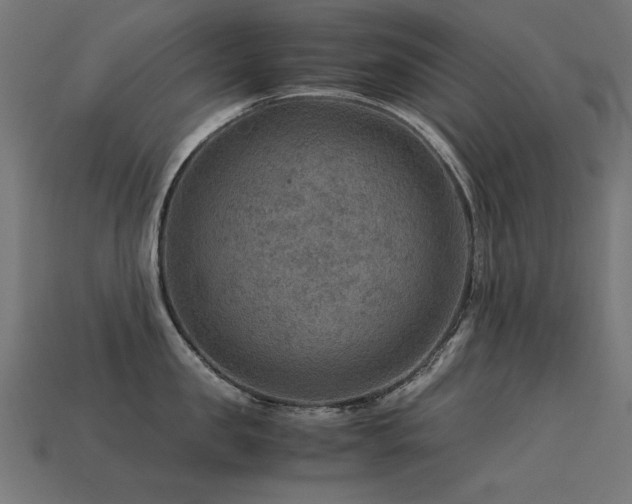 X0000113590957200909181329