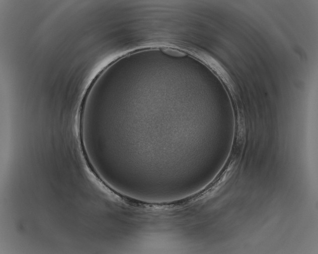 X0000113590958200909181329