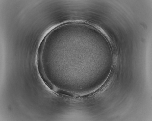 X0000113590959200909181329