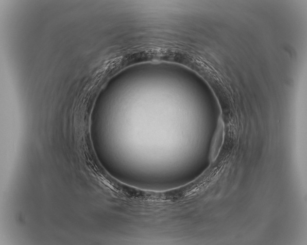 X0000113590961200909181328