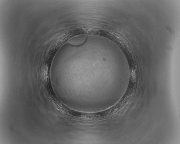 X0000113590963200909181328