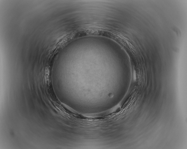 X0000113590964200909181328